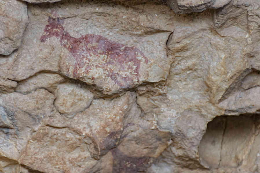 Castelló de la Plana - Ares del Maestrat - cova Remígia 19